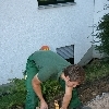 minibild